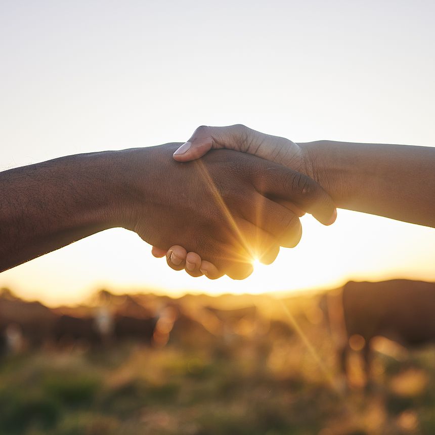 Sustainability Handshake Handshake